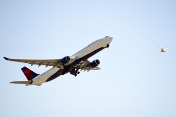 Delta Is Shaking Up Its NYC Schedule This Fall