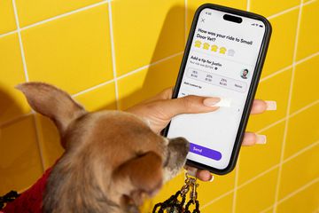 Lyft Is Making It Easier to Travel with Pets — What to Know