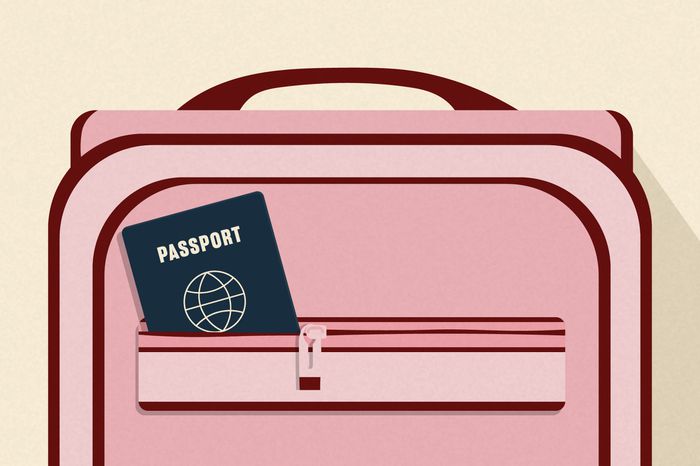 You Can Now Renew Your Passport Online — What to Know