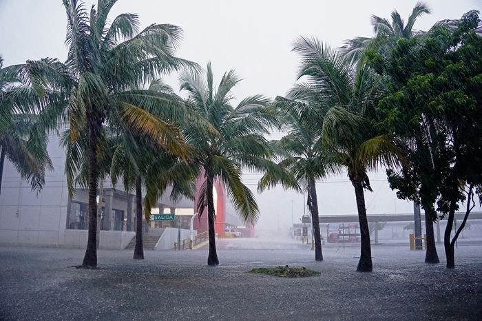 Airports Close, Hundreds of Flights Canceled as Hurricane Helene Barrels Toward Florida