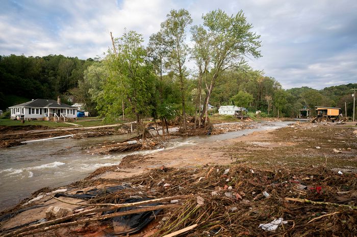 Here Are 7 Organizations to Donate to in the Aftermath of Hurricane Helene