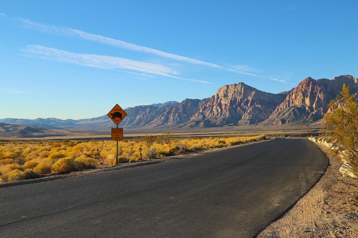 This 13-mile Drive Filled With Mountainous Views Outside Las Vegas Will Now Require Reservations — What to Know